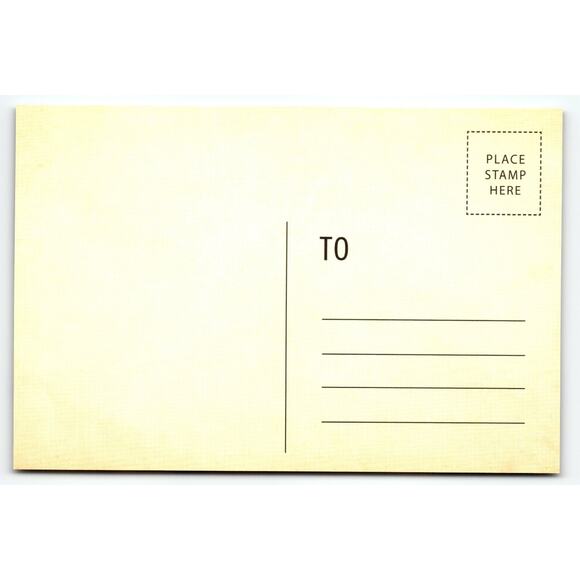 Vintage Halloween Nevermore Crow Apothecary Shoppe Postcard 6x4" - Picture 2 of 2